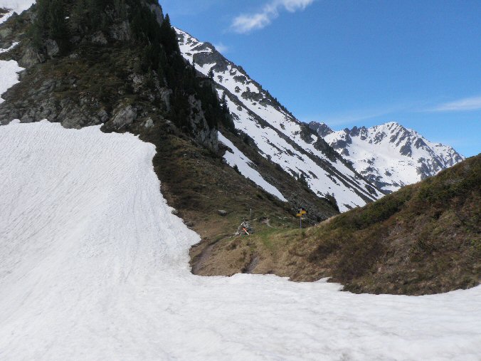 Rognier (2).jpg - Le Col de la Perche